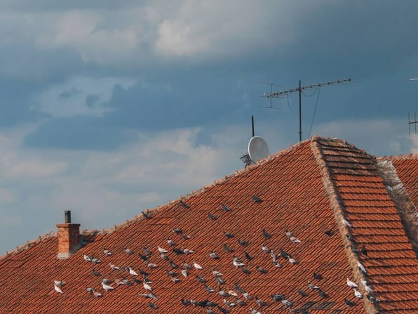 roof-underlay