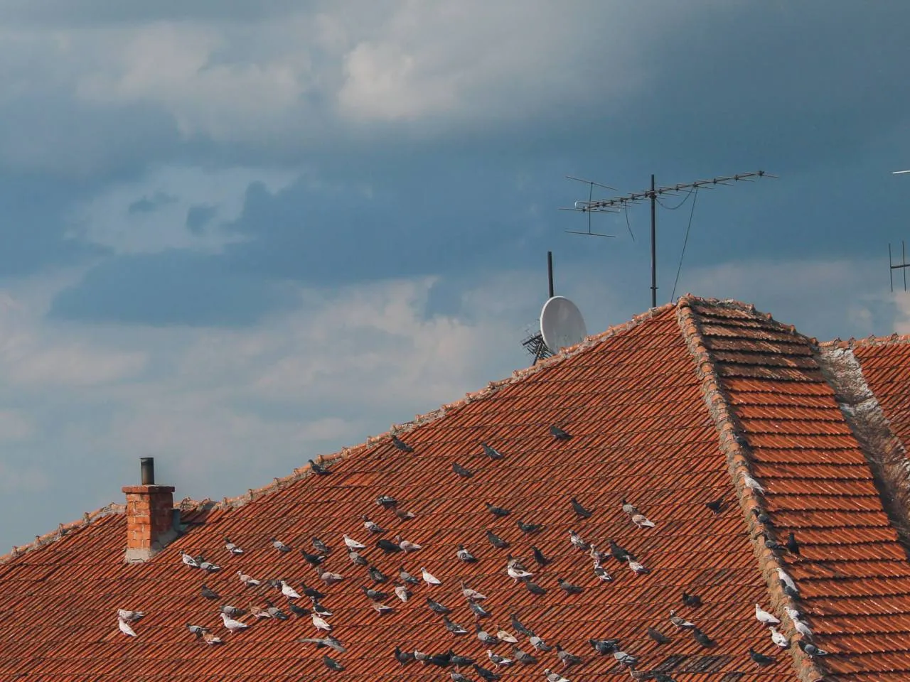 roof-underlay 